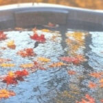 Fall Cleanup